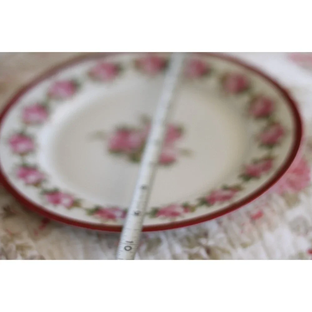 MZ Austria Plate Pink Roses